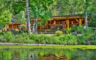 7IMG_9978
